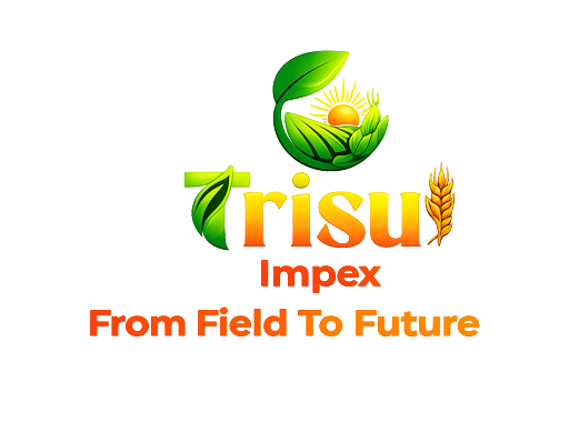 TRISUL IMPEX Logo